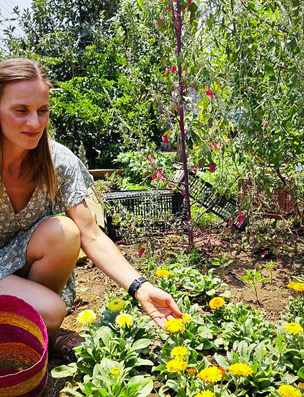 Face Oil – Asta Glow