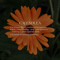 Face Oil – Asta Glow