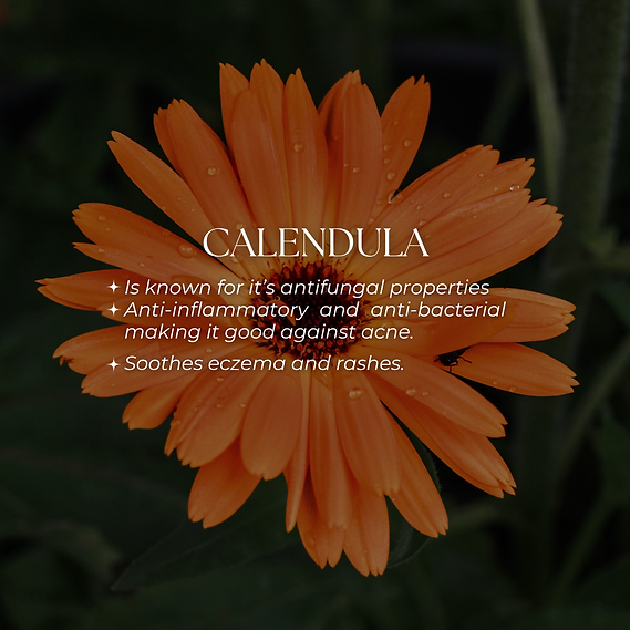 Face Oil – Asta Glow